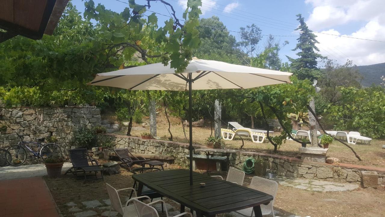 Villa I Gechi - Marina Di Campo Esterno foto