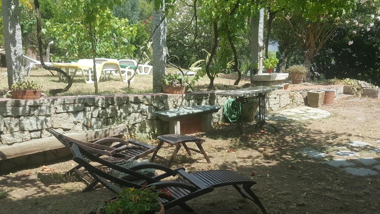 Villa I Gechi - Marina Di Campo Esterno foto