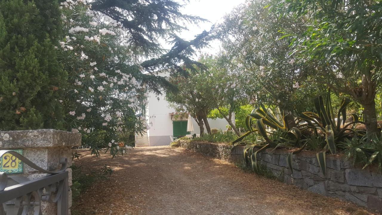Villa I Gechi - Marina Di Campo Esterno foto